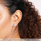 model image