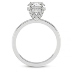 14kt White Gold Lyla Hidden Accents Solitaire Lab Diamond Ring side right image one