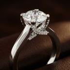 2.80 ct. princess Agnes Solitaire Ring in 18kt white gold color product image one