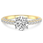 14kt Yellow Gold Atria Secret Double Halo Lab Diamond Ring front image