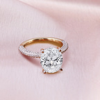 10kt White Gold Grace Micro pavé Eternity Lab Diamond Ring model image