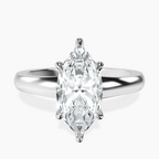 Platinum Arielle Solitaire Lab Diamond Ring front image