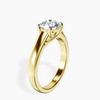 2.82 ct. round Allen Solitaire Ring in 10kt yellow gold standing product image one