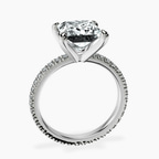 3.98 ct. princess Claire Eternity Ring in platinum side right image one