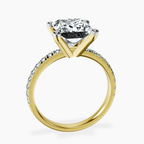 4.94 ct. princess Venetia Half Eternity Ring in 10kt yellow gold side right image one