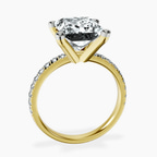 5.10 ct. princess Venetia Half Eternity Ring in 14kt yellow gold side right image one