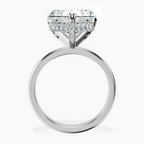 Platinum Lyla Hidden Accents Solitaire Lab Diamond Ring side right image one