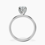 Platinum Lyla Hidden Accents Solitaire Lab Diamond Ring side right image one