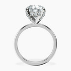Platinum Lyla Hidden Accents Solitaire Lab Diamond Ring side right image one