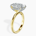 18kt Yellow Gold Lyla Hidden Accents Solitaire Lab Diamond Ring standing product image one