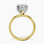 18kt Yellow Gold Lyla Hidden Accents Solitaire Lab Diamond Ring side right image one
