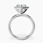 Platinum Anna Hidden Accents Halo Lab Diamond Ring side right image one