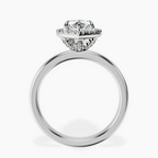 Platinum Anna Hidden Accents Halo Lab Diamond Ring side right image one
