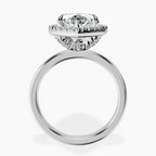 Platinum Anna Hidden Accents Halo Lab Diamond Ring side right image one