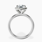 Platinum Anna Hidden Accents Halo Lab Diamond Ring side right image one