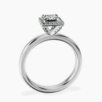 Platinum Anna Hidden Accents Halo Lab Diamond Ring side right image one