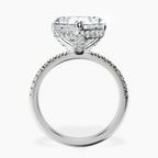 Platinum Serena Eternity Lab Diamond Ring side right image one