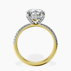 18kt Yellow Gold Serena Eternity Lab Diamond Ring side right image one