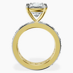 18kt Yellow Gold Madeline Full Eternity Lab Diamond Ring side right image one