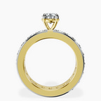 18kt Yellow Gold Madeline Full Eternity Lab Diamond Ring side right image one