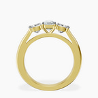 18kt Yellow Gold Kinsley Three Stone Side Cushion Lab Diamond Ring side right image one