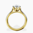 14kt Yellow Gold Sandra Side Stone Lab Diamond Ring side right image one