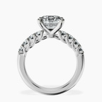 Platinum Cassidy Entwined Prongs Lab Diamond Ring side right image one
