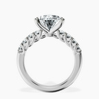 Platinum Cassidy Entwined Prongs Lab Diamond Ring side right image one