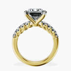 10kt Yellow Gold Cassidy Entwined Prongs Lab Diamond Ring side right image one