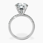 Platinum Phoebe Twigs Lab Diamond Ring side right image one