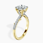 2.82 ct. round Phoebe Twigs Ring in 10kt yellow gold standing product image one