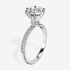 2.82 ct. round Mereia Secret Halo Ring in platinum standing product image one