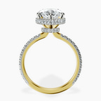 14kt Yellow Gold Cleopatra Halo Lab Diamond Ring side right image one