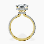 14kt Yellow Gold Cleopatra Halo Lab Diamond Ring side right image one