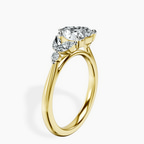 3.77 ct. heart Beatrice Ring in 14kt yellow gold standing product image one