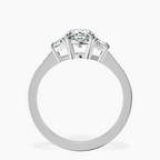 Platinum Daria Trapezoid Three Stone Lab Diamond Ring side right image one