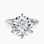 Platinum Celestial Splendor Lab Diamond Ring front image