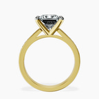 2.80 ct. princess Lucent Side Channel Set Lab Diamond Ring in 10kt yellow gold side right image one