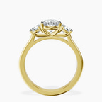 18kt Yellow Gold Evelina Round Three Stone Lab Diamond Ring side right image one