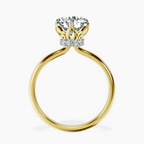 2.82 ct. round Blooming Petal Halo Ring in 10kt yellow gold side right image one