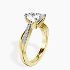 standing product image one