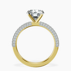 14kt Yellow Gold Grace Micro pavé Eternity Lab Diamond Ring side right image one