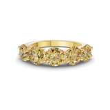 9ct Yellow Gold Camille Round Lab Diamond Anniversary Band (1/2 Ct. Tw.) front image