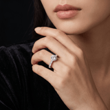 model image