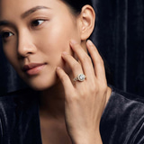 model image