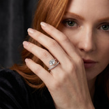 model image