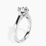 standing product image one
