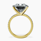 10kt Yellow Gold Emily Eternity Lab Diamond Ring side right image one