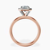 10kt Rose Gold Anna Hidden Accents Halo Lab Diamond Ring side right image one