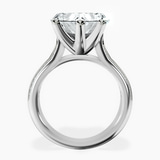 Platinum Sandra Side Stone Lab Diamond Ring side right image one